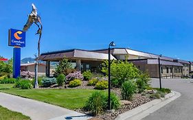 Comfort Inn Bozeman Near University